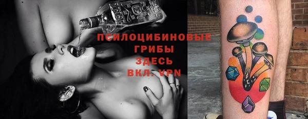 твердый Анжеро-Судженск