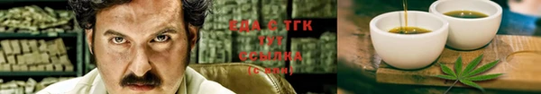 СК Новодвинск