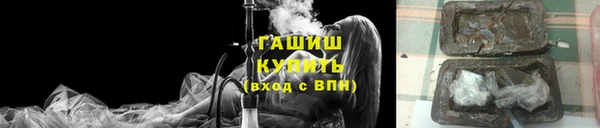 СК Новодвинск