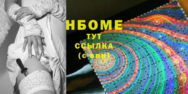 СК Новодвинск