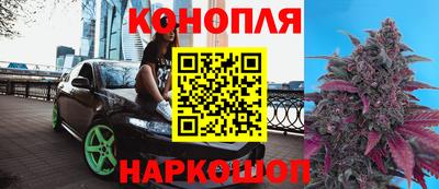 индика Абинск