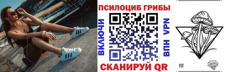 Псилоцибиновые грибы Cubensis  купить  сайты  даркнет какой сайт  Кушва 
