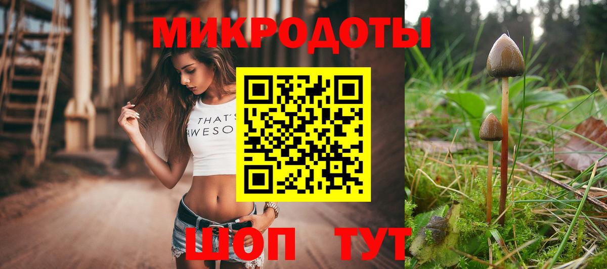 Кушва  Галлюциногенные грибы прущие грибы  Вход с VPN 